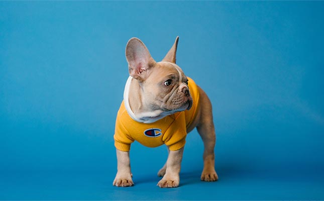 Materiale Promotionale